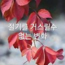 8월마지막날^끝말잇기 이미지