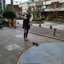 압구정동물의료센터 이미지