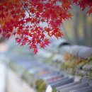 세계문화유산인문학 이미지