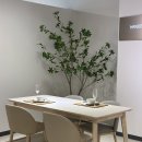 낙동강변로3-3 | 칠곡 한샘 도노 내추럴 세라믹 식탁 10월 마지막 최대 할인 이벤트