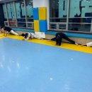 레전드태권도 이미지