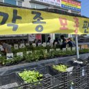 현대종묘사 이미지