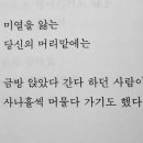 사나흘