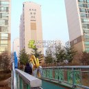 분당-292 Daum카페
