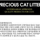 효민님의 뱅갈고양이 이미지