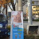 하단동010 | 하단속눈썹연장 추천 시크릿에스테틱 !