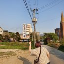 카페로사리아
