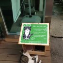 강동파출소 이미지