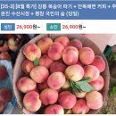 실개천수산 | <여행스케치> 버스 투어로 다녀온 평창 국민의 숲, 안목 해변, 주문진 수산시장, 강릉 복숭아 따기