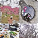 제12회 순천웃장 국밥축제 | 홍매화 명소 찾아 전남 순천 가볼만한곳 best