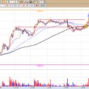 세림전자시스템
