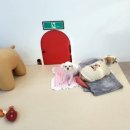 땡자애견 이미지