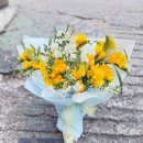 후리지아 | 대형꽃다발 코지피다 후리지아 꽃다발 준비 후기