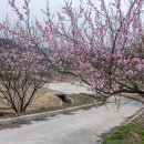 북한강 자전거도로8 이미지