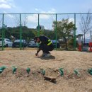 금남초등학교(병설) 네이버블로그