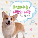 세이브 동물병원 이미지