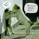 고사성어 이미지