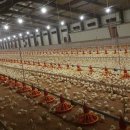 우보공인중개사사무소 이미지