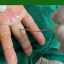 건재활의학과의원 이미지