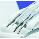 배철의원 | 겨울 제철 음식 굴의 효능