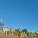 계화농장 | 서울 근교 꽃축제 추천 일산 호수공원 고양 가을꽃축제 기간 및 주차장 정보