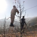 금계농장 이미지