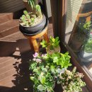 여연재 | 구미 봉곡동 분위기좋은 카페 여연재 후기