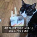 (주)페피테일 | [노령묘 고양이 오메가3 고민 끝]고양이 신장 영양제 그레이코트 야옹섬 후기