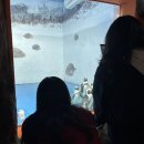 씨유 익산감초점 | 전짝궁과 전전짝궁과 함께 떠난 여수 당일치기🦀