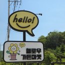 고양 헬로우가든마켓 가볼만할까? 식물 7개 구매 후기