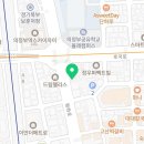 안산 요미독앤캣 강아지분양 고양이분양 이미지