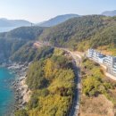 더레지아A 이미지