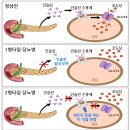 새봄빛한의원 이미지