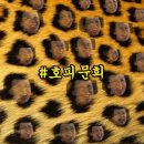네일숲 이미지