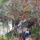 사직스카이 이미지