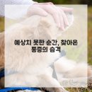 이건한의원 이미지