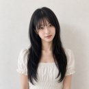 보그헤어 목동점