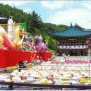 초읍동-12 이미지