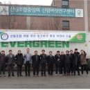 산림개발 이미지