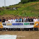 광양 태양광발전소 이미지