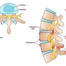 새론한방병원 이미지