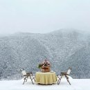 태백운수 이미지