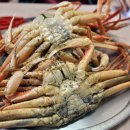 송림 회 식당 Daum카페