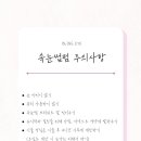 서면속눈썹