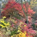 산과구름아래 이미지