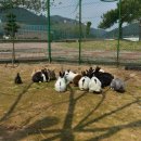 원숭이학교 자연사박물관 이미지