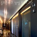 솔보 이미지