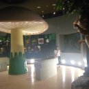 경상북도산림과학박물관 이미지