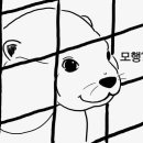 모해