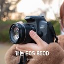 픽셀랩스 주식회사 | DSLR카메라, 캐논 EOS 850D 부산 여행지 브이로그 추천
